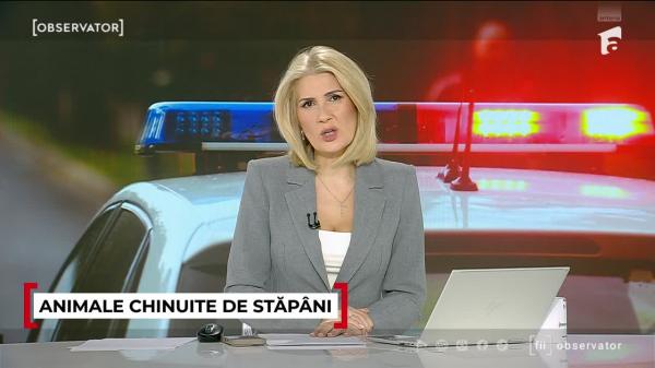 Observator ora 19 din 16.12.2025