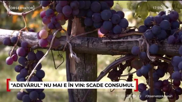 Observator ora 17 din 05.01.2026