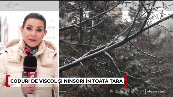 Observator ora 12 din 08.01.2026