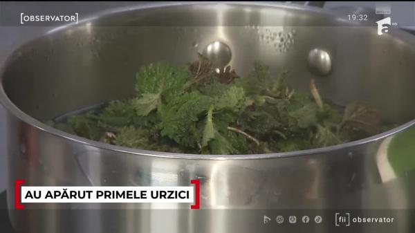 Observator ora 19 din 26.02.2026