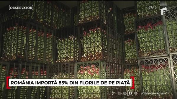 Observator Weekend ora 6 din 01.03.2026