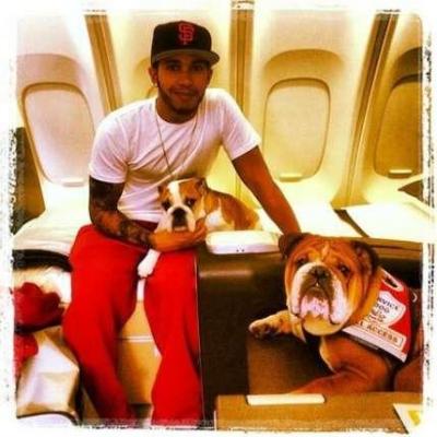 Ei sunt cei mai răsfăţaţi câini din lume!