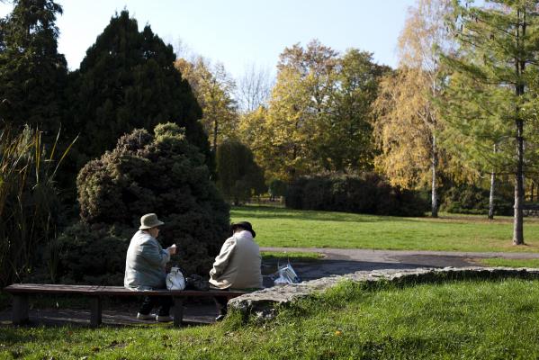 Prognoza METEO: cum va fi vremea in urmatoarele zile