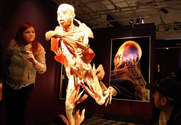 Elevii din Calarasi nu au voie sa viziteze expozitia Human Body