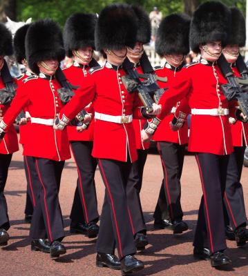 100 de militari din regimentul de garda al reginei Marii Britanii, bolnavi de scabie