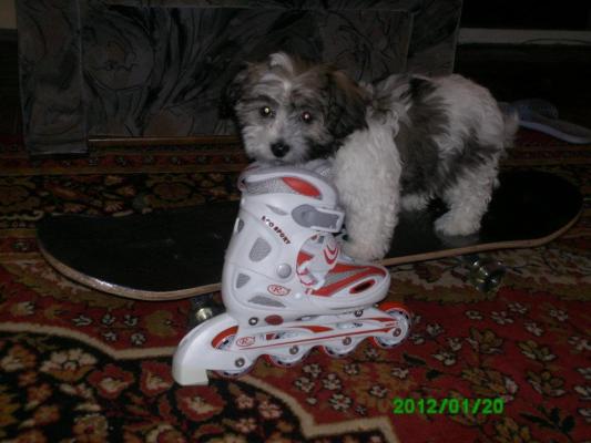Tony