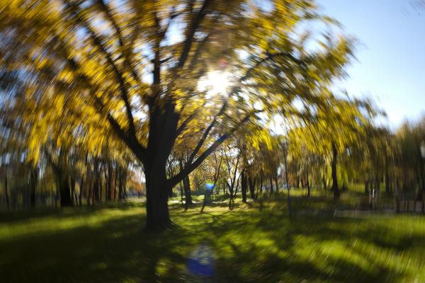 Prognoza METEO: cum va fi vremea miercuri si joi