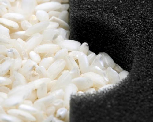 Japonezii planteaza orez la 15 kilometri de Fukushima