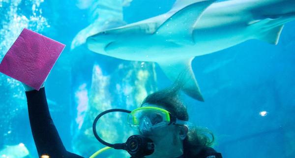 Ăsta poate fi cel mai periculos loc de muncă din lume!