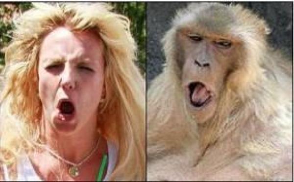 Asemănări între vedete şi animale! Fotografii senzaţionale
