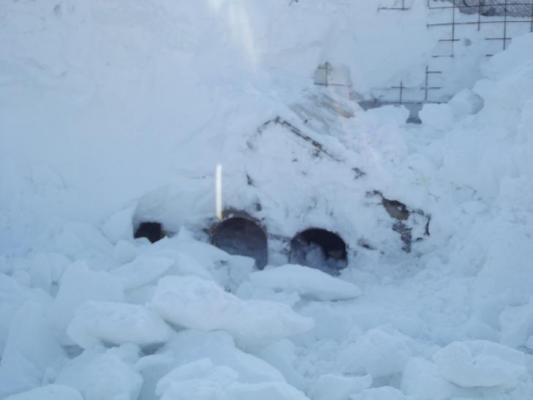 Şi animalele suferă din cauza viscolului. În Focşani aproape 300 de câini rică să moară îngheţaţi.