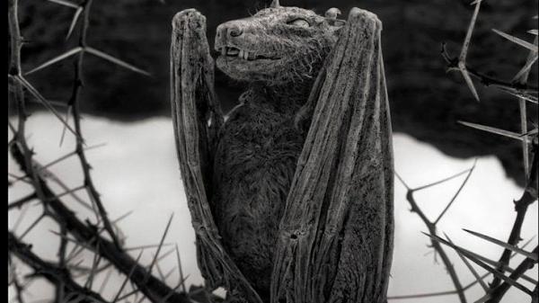 Lacul ăsta este BLESTEMAT! Imaginile par desprinse din filme HORROR