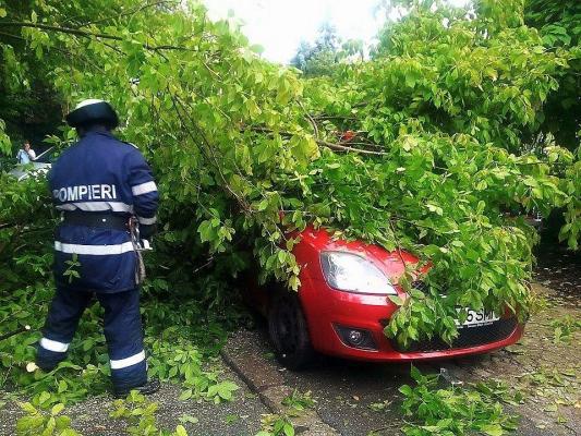 În Capitală, peste 30 de copaci au fost doborâţi de vânt iar 14 maşini au fost avariate