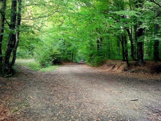 Se întâmplă în zilele noastre. Un bar a fost transformat într-o bibliotecă!