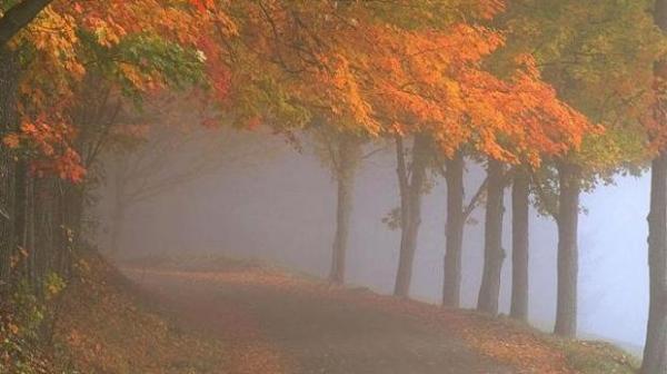 COD GALBEN de ceaţă! Zonele afectate