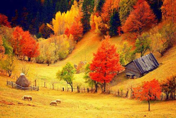 Temperaturi de primăvară! Prognoza meteo pentru următoarele zile