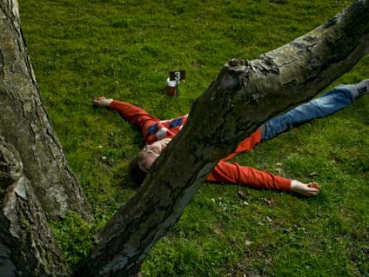 A șocat o comunitate întreagă! O PASĂRE extrem de ÎNDRĂGITĂ a ucis un om