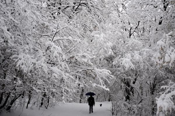 VREMEA până pe 11 ianuarie. Prognoza meteo pentru fiecare regiune a ţării