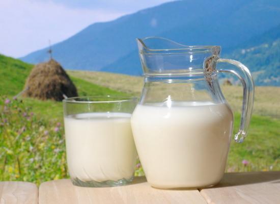 Nici laptele nu mai e ce-a fost! Ultimul studiu al cercetătorilor te lasă fără cuvinte