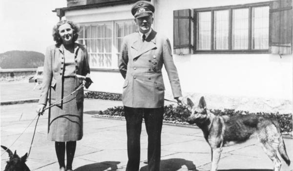 ULUITOR! Primul câine vorbitor: "Mi-e foame! Dă-mi prăjituri!"