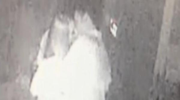 Ce se întâmplă pe holurile Congresului American. Nimeni nu îşi închipuia că e posibil