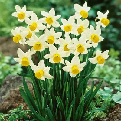 La mulţi ani celor peste un milion de sărbătoriţi! Ce este bine să faci de Florii