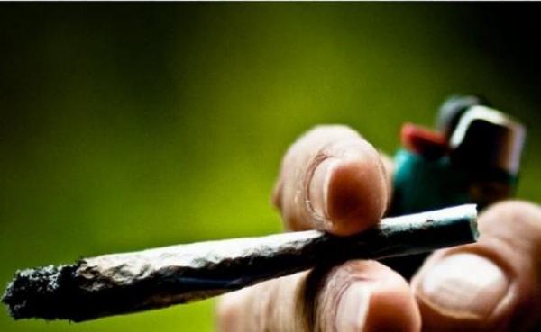 INEDIT! Vremuri grele pentru Orchestra Simfonică. Încasările se fac de pe urma canabisului