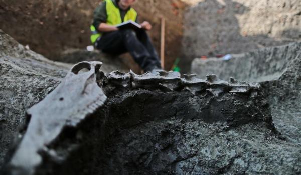 Descoperire uluitoare în Timișoara! Un schelet din secolul al XVI-lea a uimit arheologii