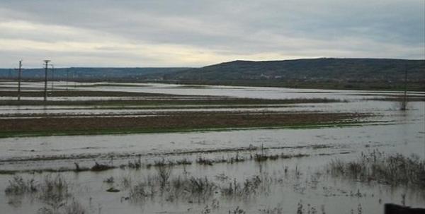 ALERTĂ de INUNDAŢII pe Dunăre. AU CEDAT digurile!