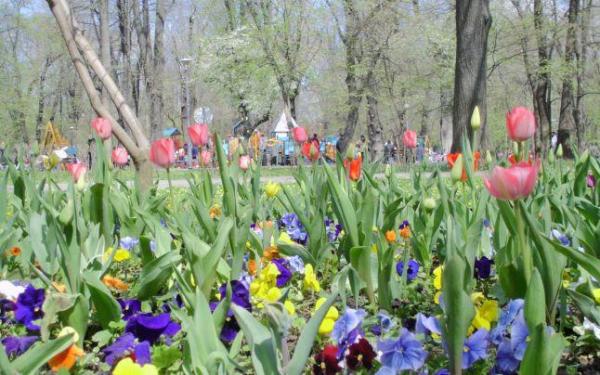 Apare soarele?! Prognoza meteo pentru finalul săptămânii