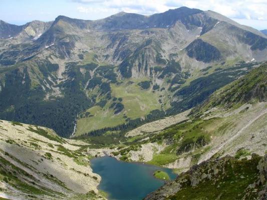 Trasee TURISTICE închise în Retezat! Sute de cadavre de oi au atras urşii