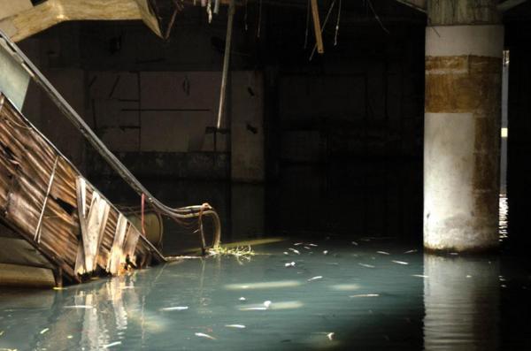 Imagini ale apocalipsei! Un mall abandonat, populat ACUM doar de peşti
