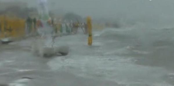 Cod galben de furtună