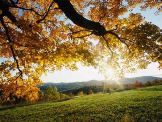 PROGNOZA METEO pentru marţi şi miercuri, în ţară şi în Bucureşti