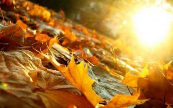 Prognoza METEO până în luna noiembrie! Cum va fi vremea