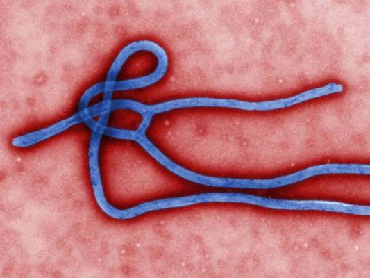 Un bărbat cu simptome similare celor ale Ebola, tratat la New York