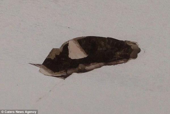 Uite ce le-a CĂZUT din TAVAN! TOŢI au RĂMAS MASCĂ!