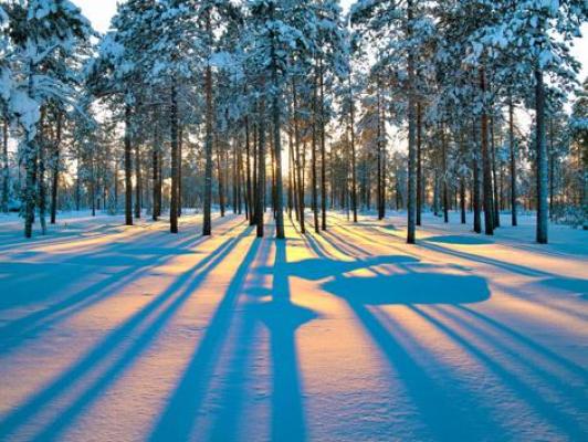 PROGNOZA METEO pentru finalul săptămânii! Vremea se încălzeşte