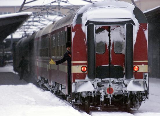 Tren DERAIAT în Cluj din cauza unei cirezi de vaci!