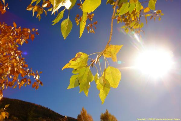 Vreme predominant frumoasă! Prognoza meteo pentru vineri