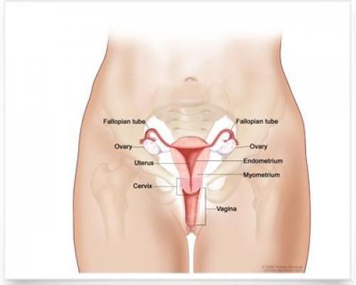 De ce NU rămâi ÎNSĂRCINATĂ! IATĂ explicația!