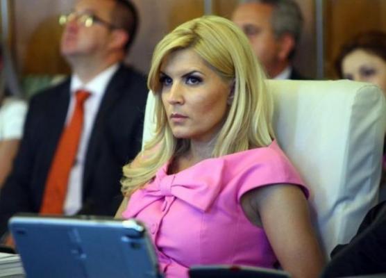 Elena Udrea a venit la Parlament să îşi vadă dosarul: "Nu am înţeles despre ce e vorba!"