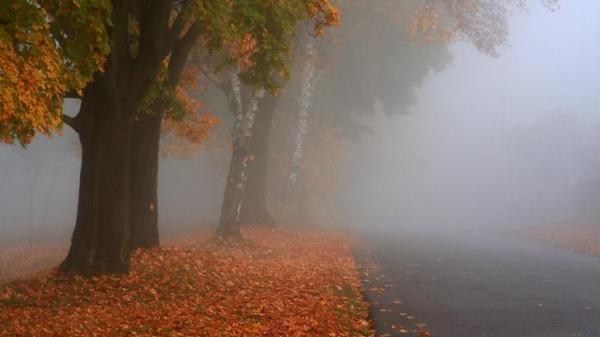 Cum va fi vremea ASTĂZI. Ne luăm sau nu umbrela la noi?