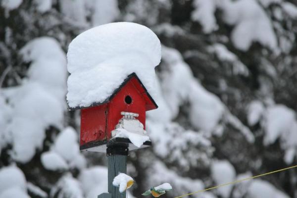 Pregăteşte-ţi casa pentru sezonul rece. Patru lucruri pe care trebuie să le faci acum