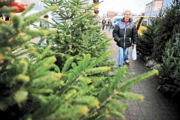 Peste două tone de carne şi 13.000 de pomi de Crăciun, confiscaţi de poliţişti