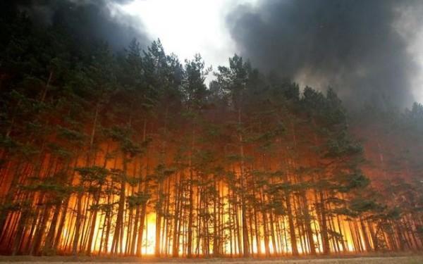 Incendiile din Australia au distrus case și au determinat evacuarea mai multor comunități