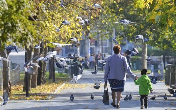 VREME mult mai caldă decât în mod obişnuit. PROGNOZA METEO pentru marţi şi miercuri