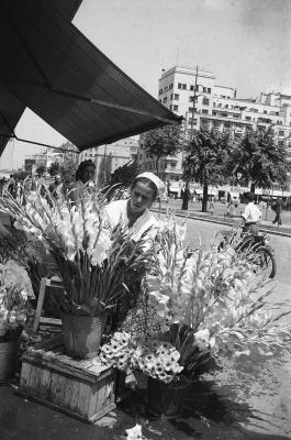 FOTO de COLECŢIE! O vară caniculară, un context politic complicat. Bucureştiul anului '56, prin ochii fotografilor nemţi