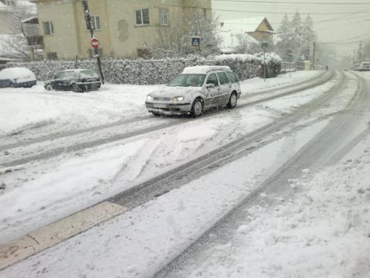 Viscolul a FĂCUT PRĂPĂD în București