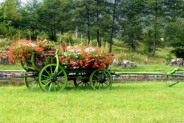 Primești sau oferi FLORI? Iată ce SEMNIFICĂ și ce TRANSMIȚI prin flori